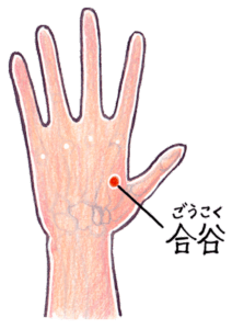 合谷のツボ