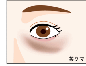 茶クマのイラスト