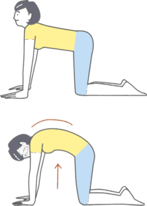 腰椎すべり症に効果的なストレッチ