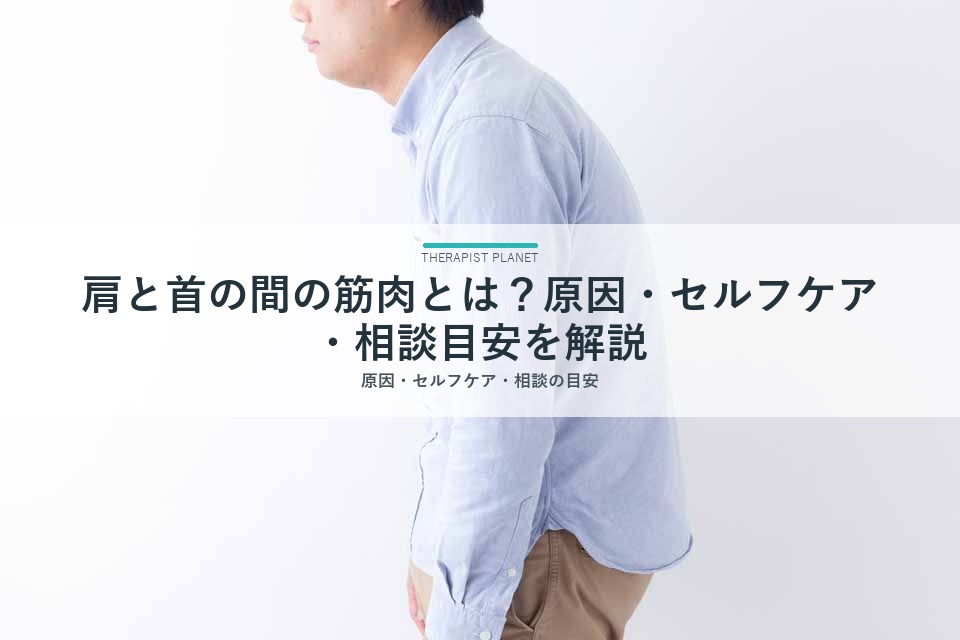 肩と首の間の筋肉とは？原因・セルフケア・相談目安を解説