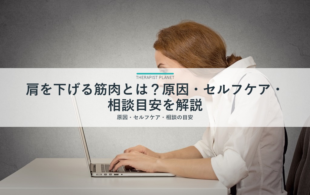 肩を下げる筋肉とは？原因・セルフケア・相談目安を解説