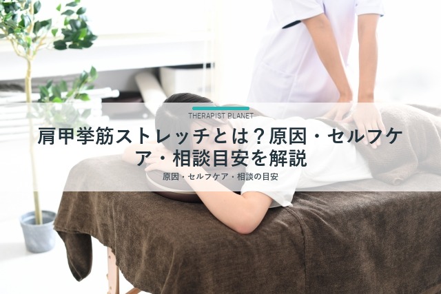 肩甲挙筋ストレッチとは？原因・セルフケア・相談目安を解説