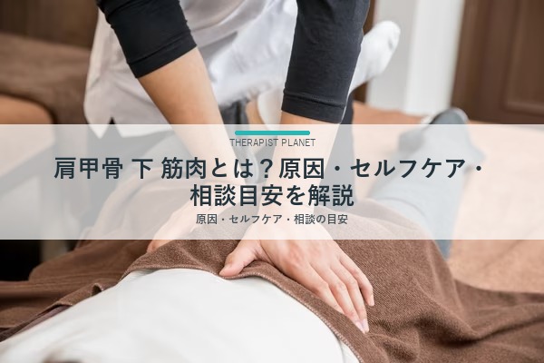 肩甲骨 下 筋肉とは？原因・セルフケア・相談目安を解説