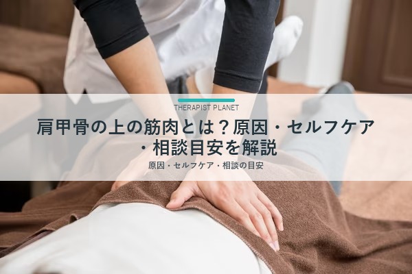 肩甲骨の上の筋肉とは？原因・セルフケア・相談目安を解説