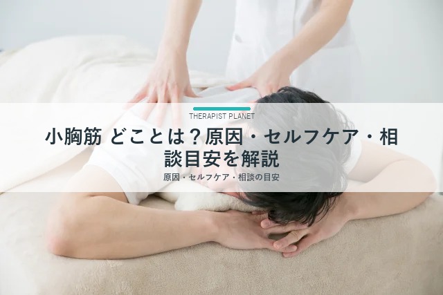 小胸筋 どことは？原因・セルフケア・相談目安を解説