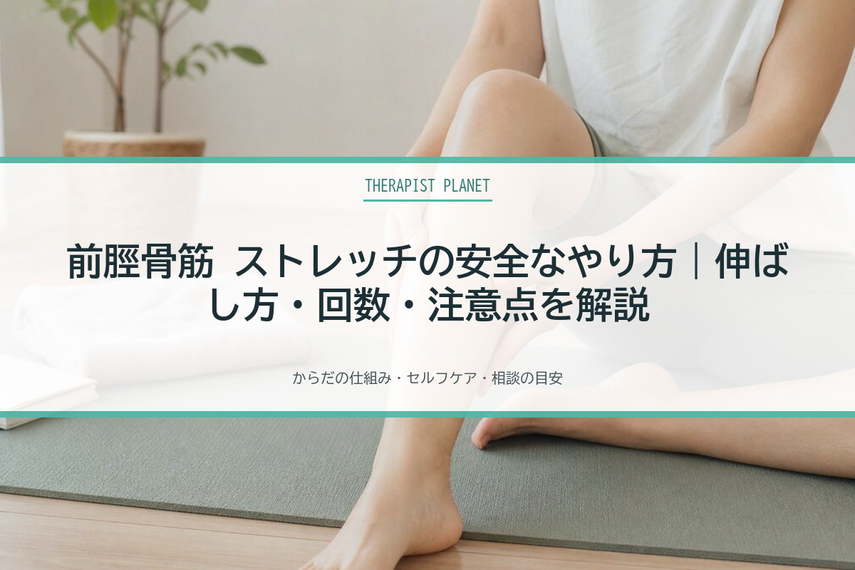 前脛骨筋 ストレッチの安全なやり方｜伸ばし方・回数・注意点を解説
