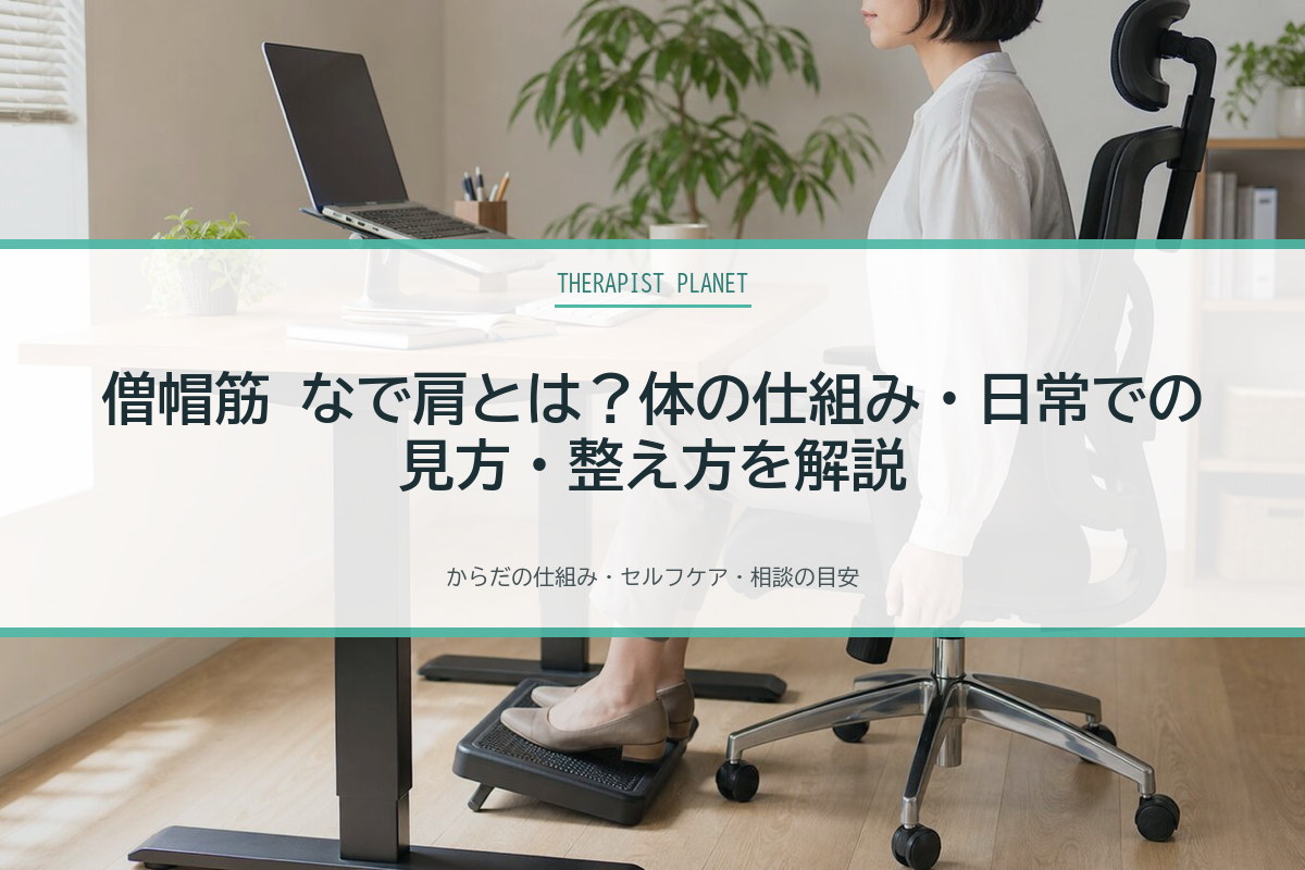 僧帽筋 なで肩とは？体の仕組み・日常での見方・整え方を解説