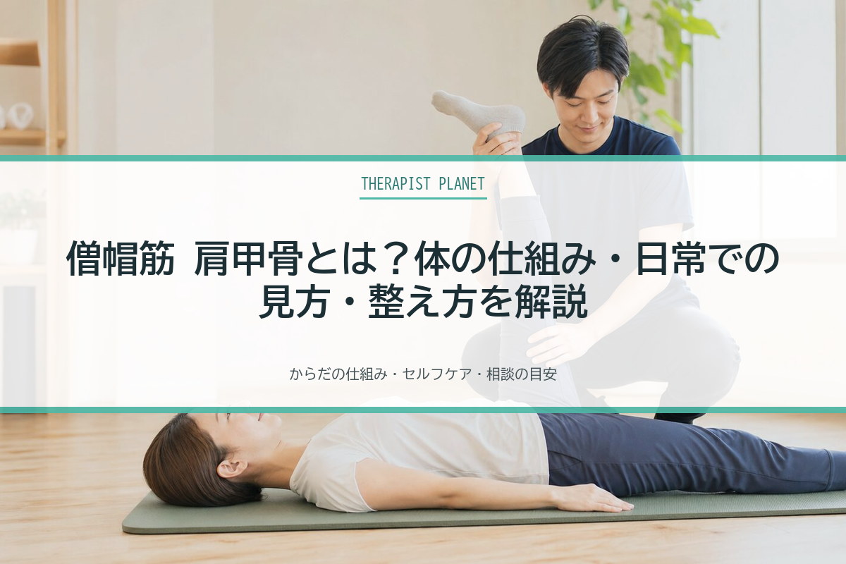 僧帽筋 肩甲骨とは？体の仕組み・日常での見方・整え方を解説