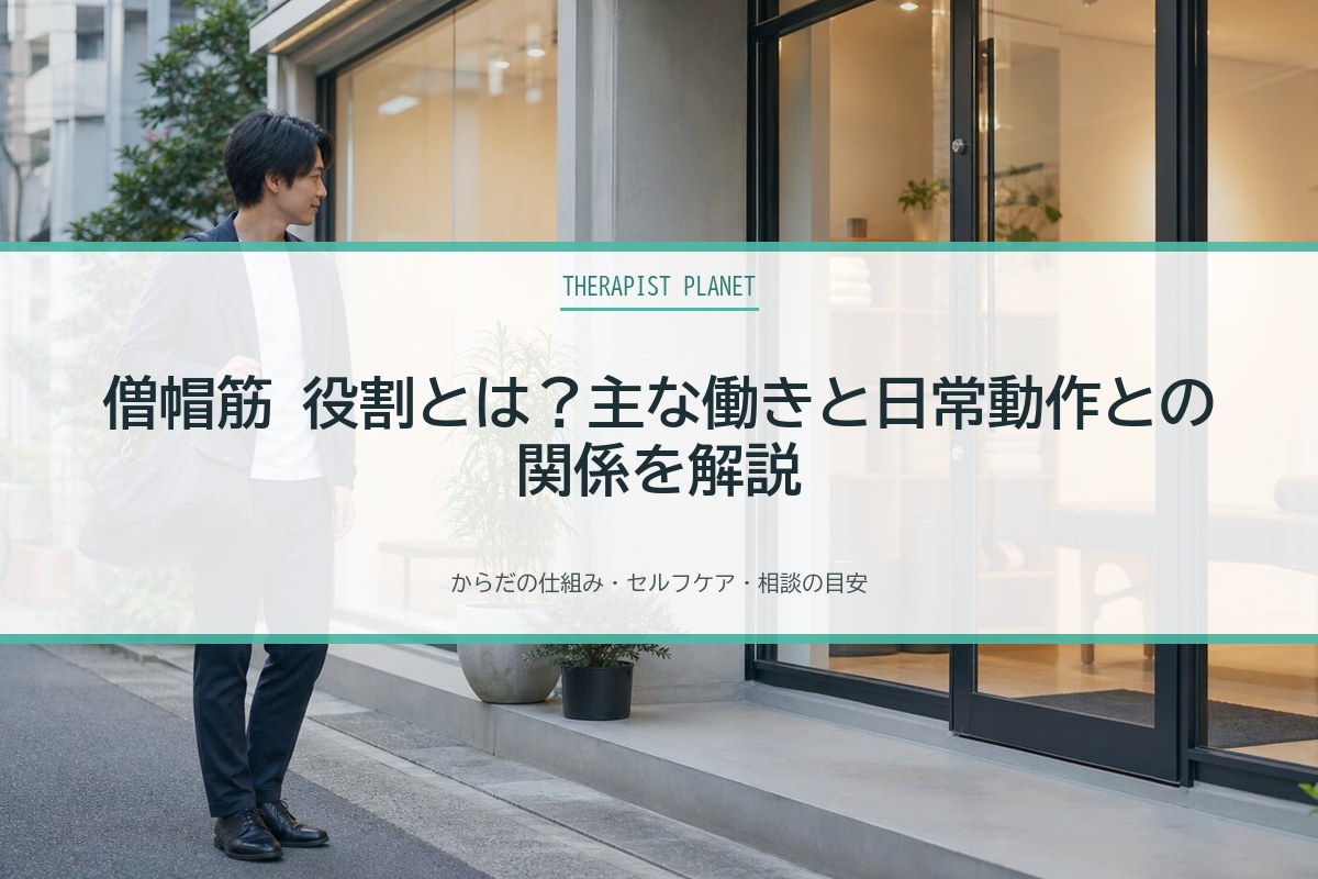 僧帽筋 役割とは？主な働きと日常動作との関係を解説