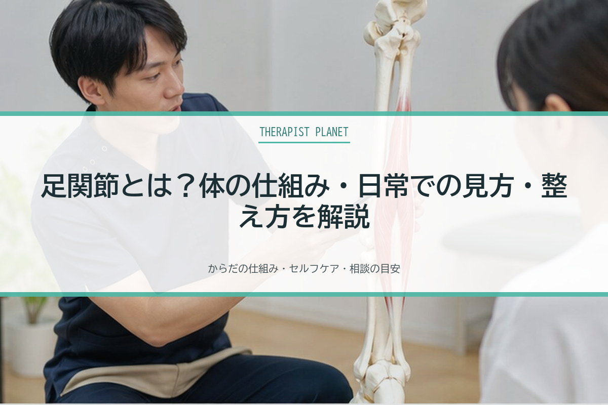 足関節とは？体の仕組み・日常での見方・整え方を解説