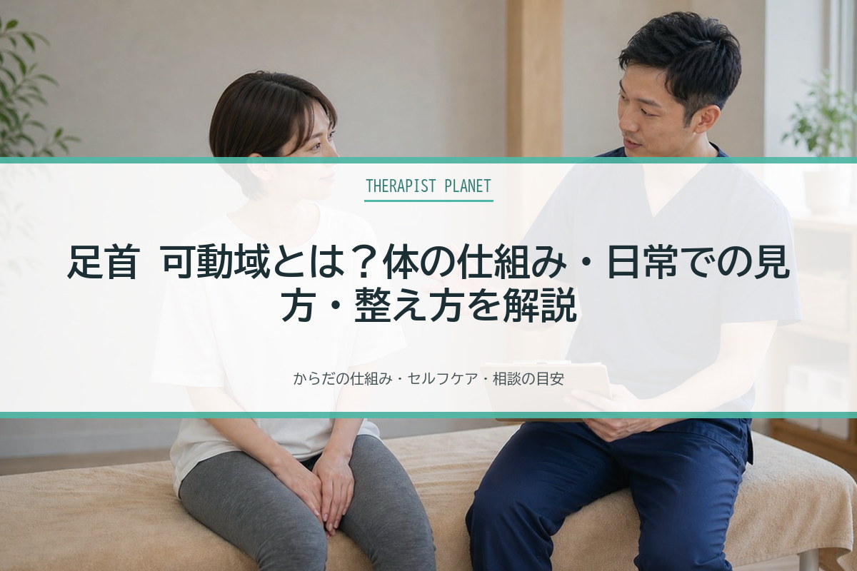 足首 可動域とは？体の仕組み・日常での見方・整え方を解説