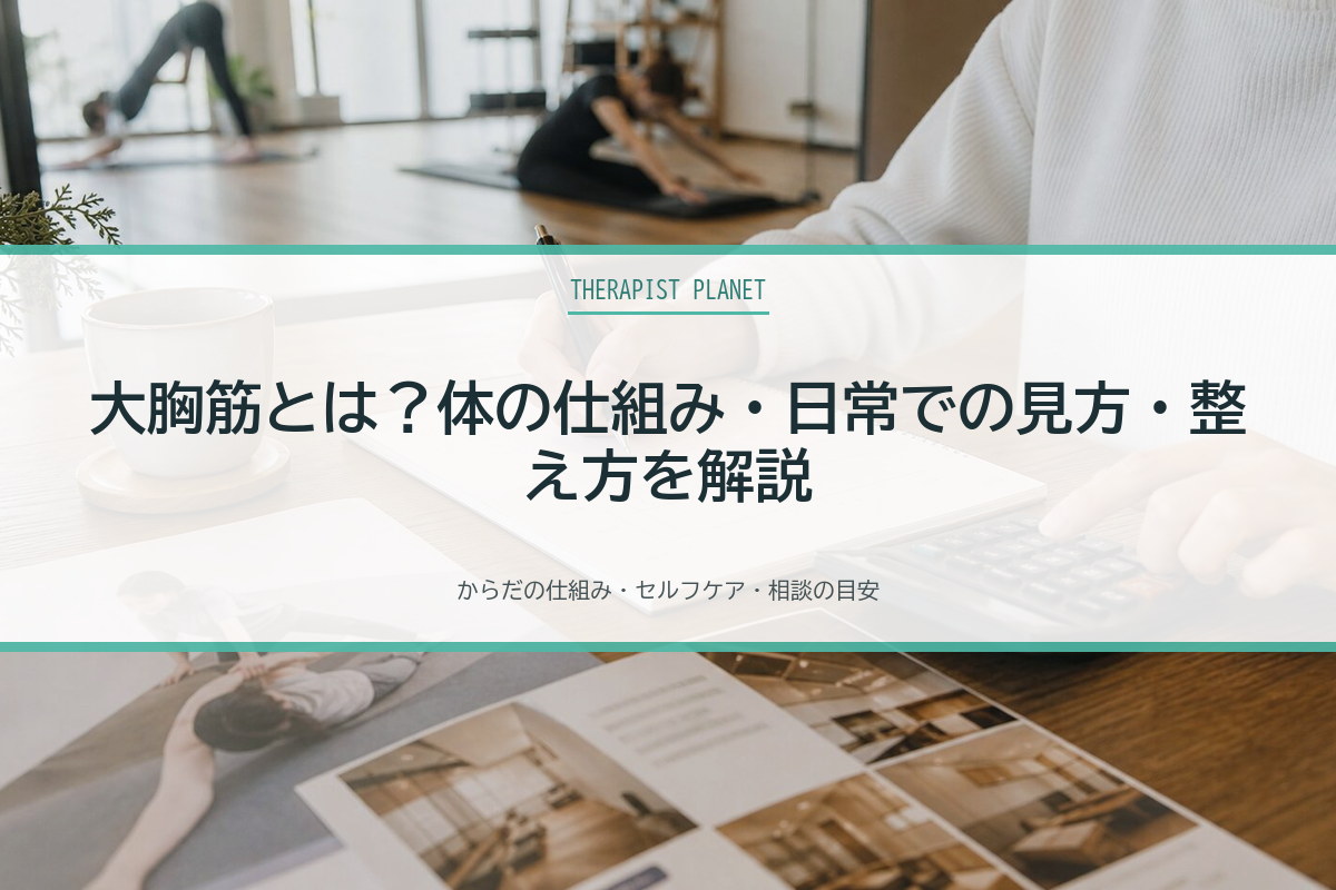 大胸筋とは？体の仕組み・日常での見方・整え方を解説