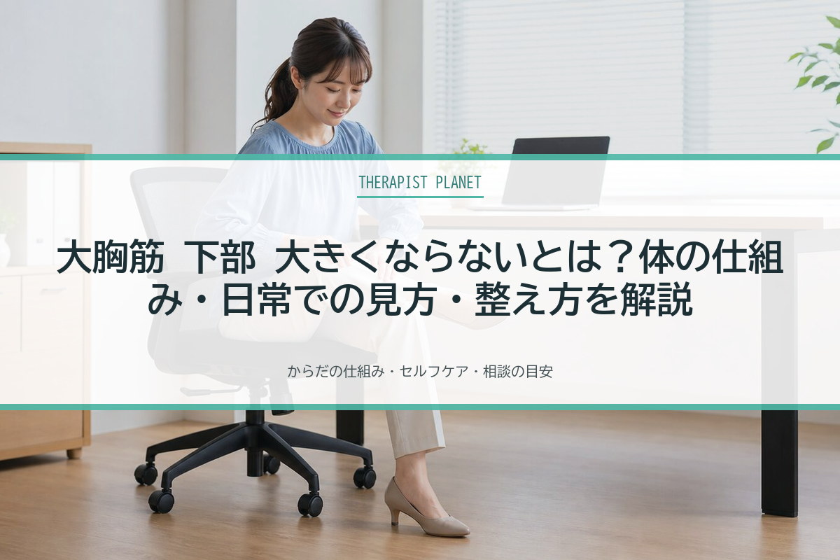 大胸筋 下部 大きくならないとは？体の仕組み・日常での見方・整え方を解説