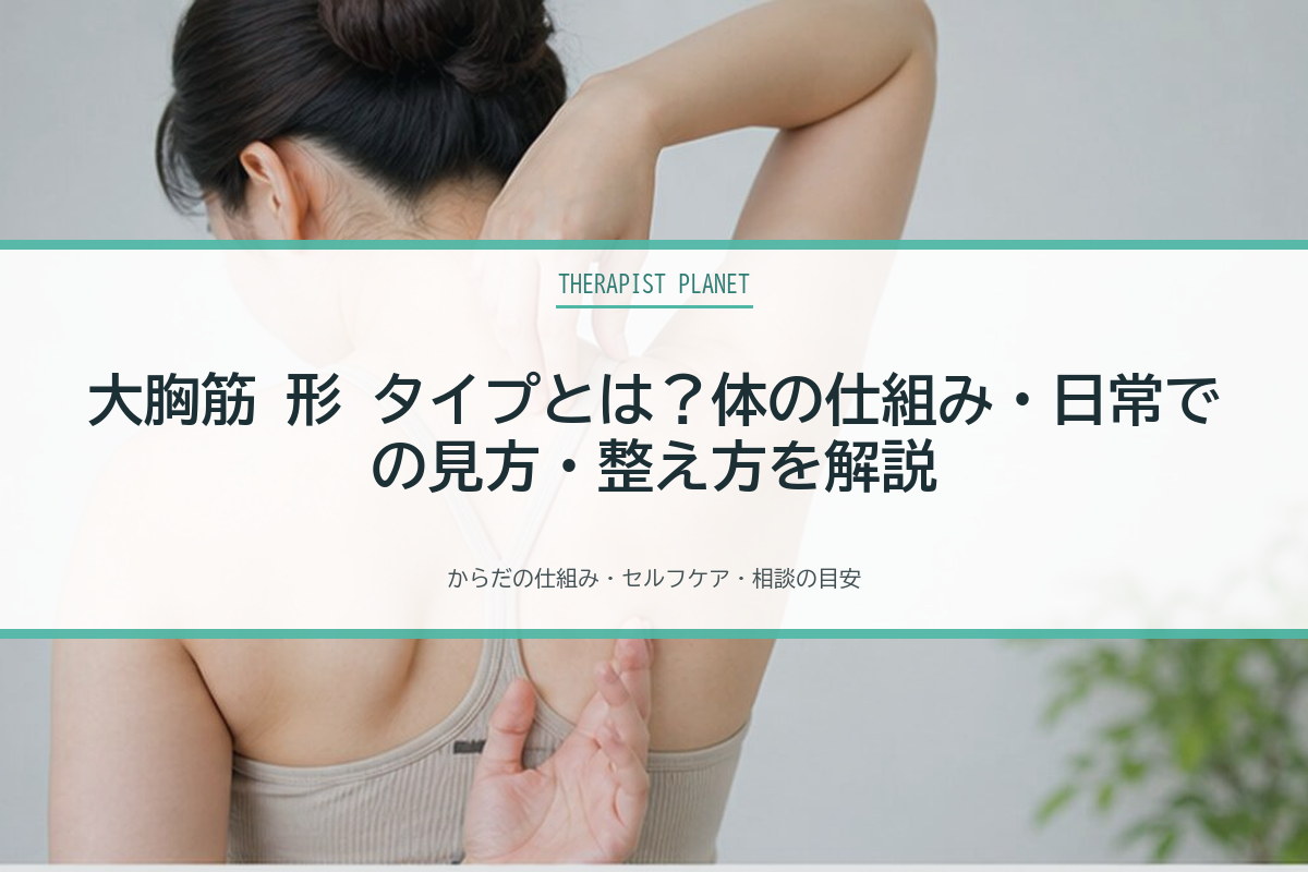 大胸筋 形 タイプとは？体の仕組み・日常での見方・整え方を解説