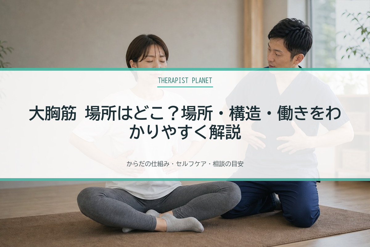 大胸筋 場所はどこ？場所・構造・働きをわかりやすく解説