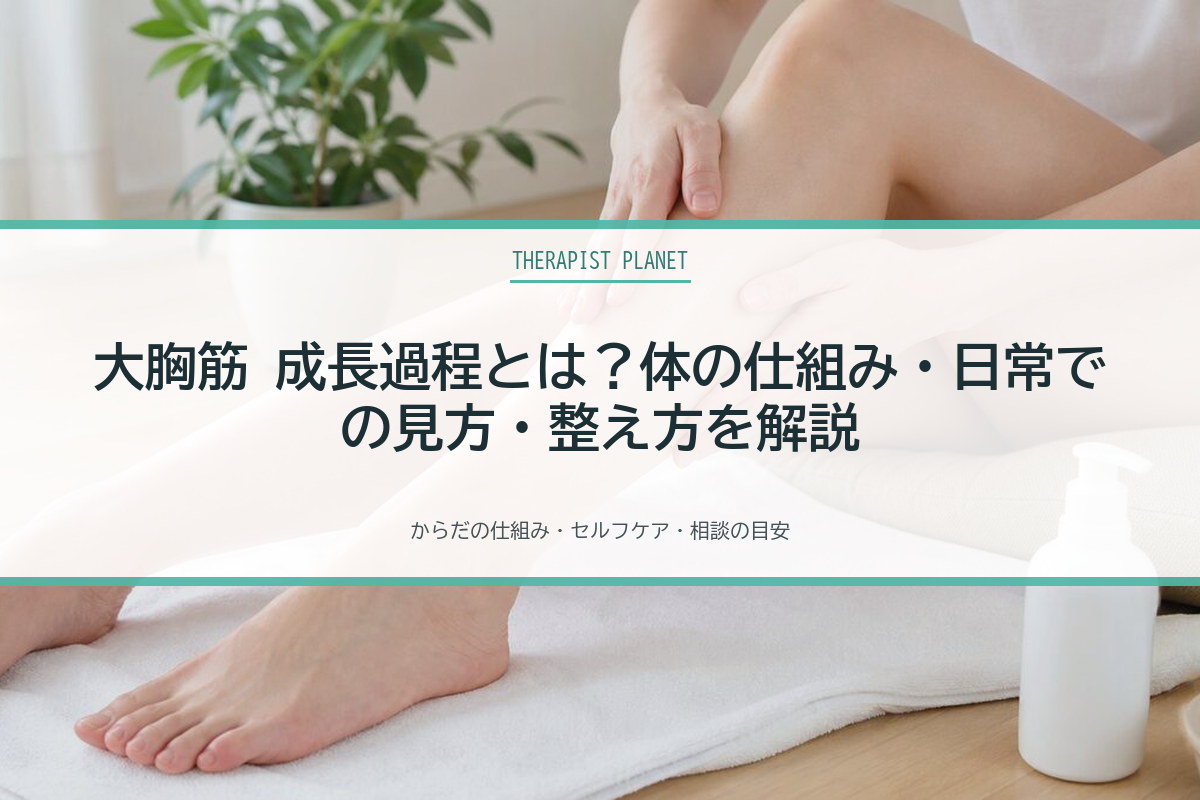 大胸筋 成長過程とは？体の仕組み・日常での見方・整え方を解説