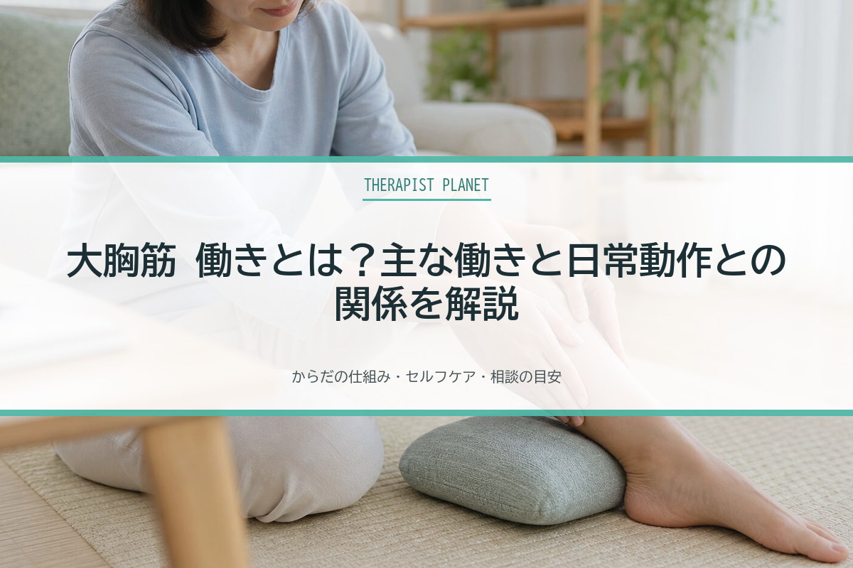 大胸筋 働きとは？主な働きと日常動作との関係を解説