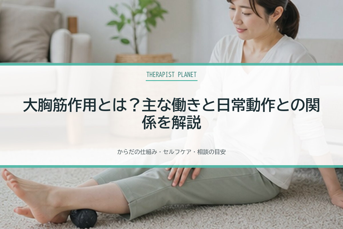 大胸筋作用とは？主な働きと日常動作との関係を解説