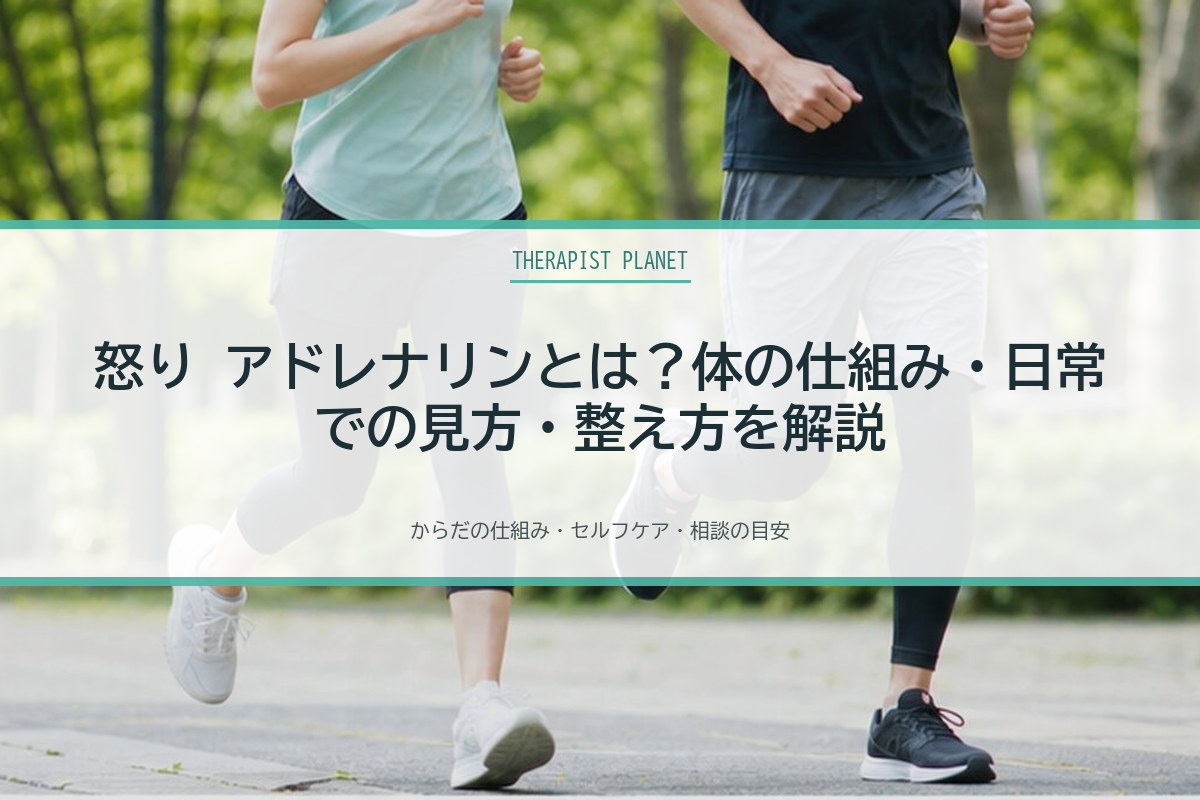 怒り アドレナリンとは？体の仕組み・日常での見方・整え方を解説