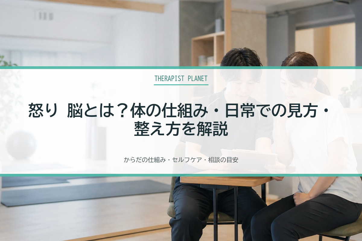 怒り 脳とは？体の仕組み・日常での見方・整え方を解説