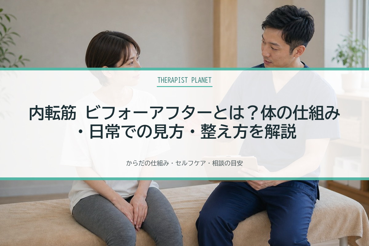 内転筋 ビフォーアフターとは？体の仕組み・日常での見方・整え方を解説