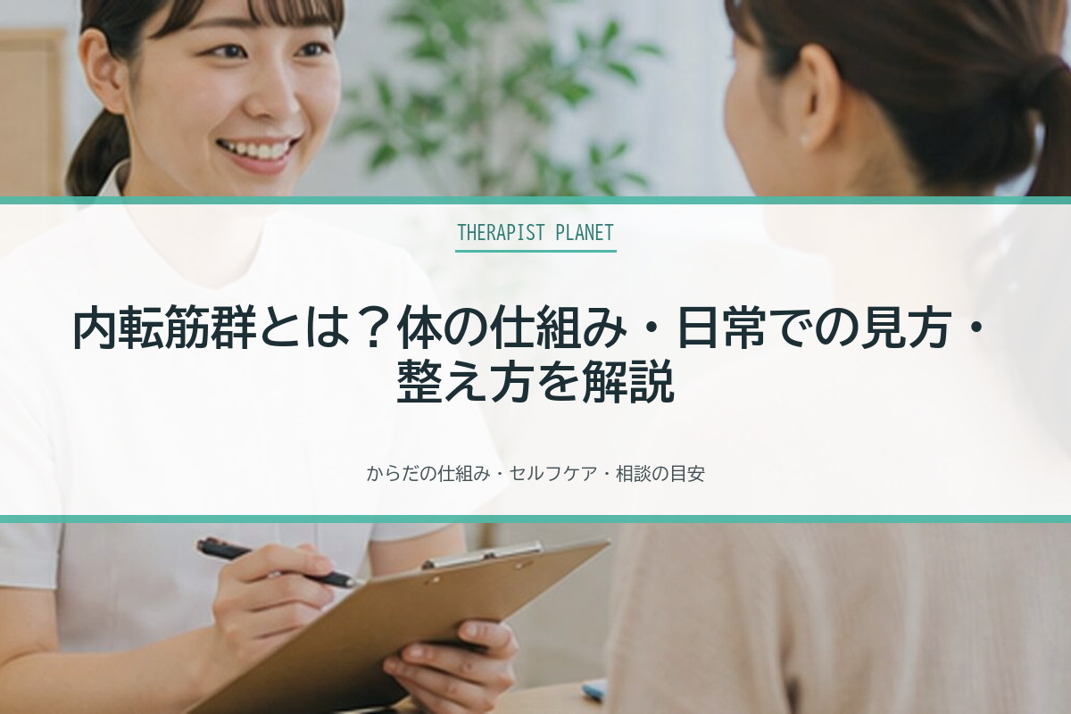 内転筋群とは？体の仕組み・日常での見方・整え方を解説
