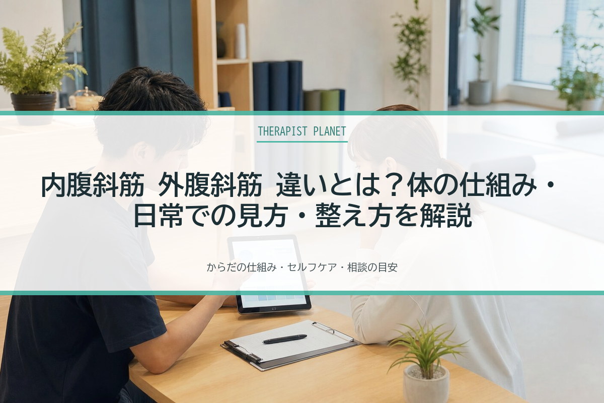 内腹斜筋 外腹斜筋 違いとは？体の仕組み・日常での見方・整え方を解説