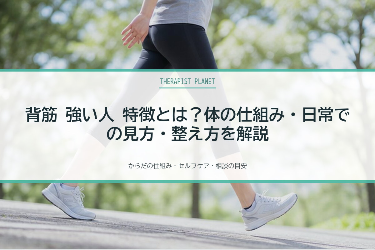 背筋 強い人 特徴とは？体の仕組み・日常での見方・整え方を解説