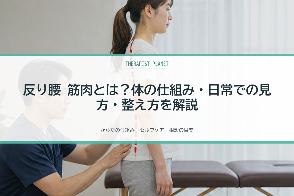反り腰 筋肉とは？体の仕組み・日常での見方・整え方を解説