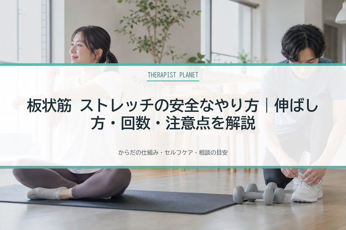 板状筋 ストレッチの安全なやり方｜伸ばし方・回数・注意点を解説