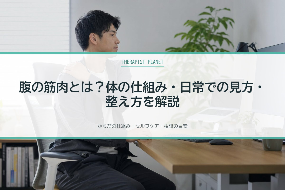 腹の筋肉とは？体の仕組み・日常での見方・整え方を解説