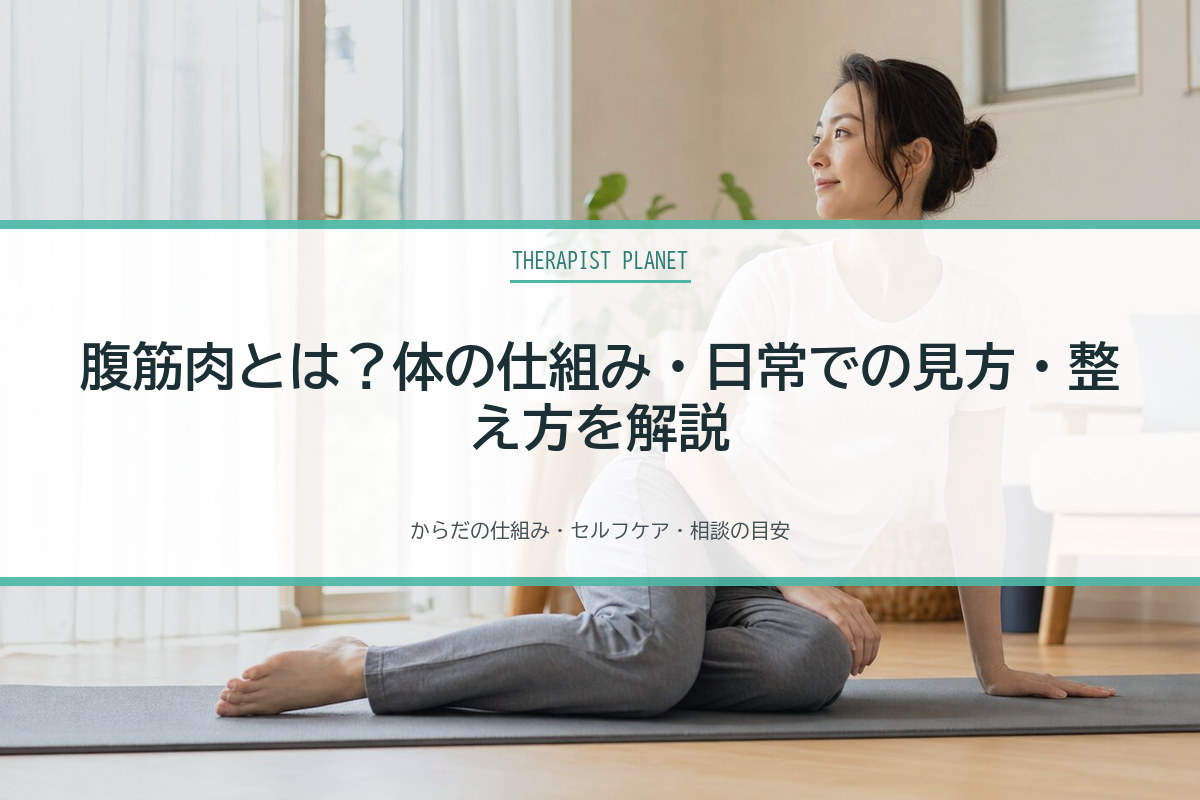 腹筋肉とは？体の仕組み・日常での見方・整え方を解説