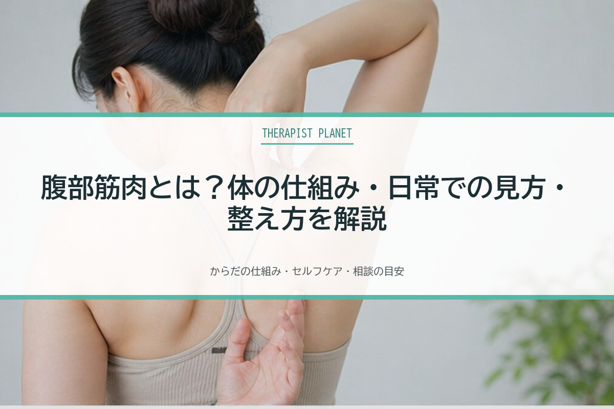 腹部筋肉とは？体の仕組み・日常での見方・整え方を解説