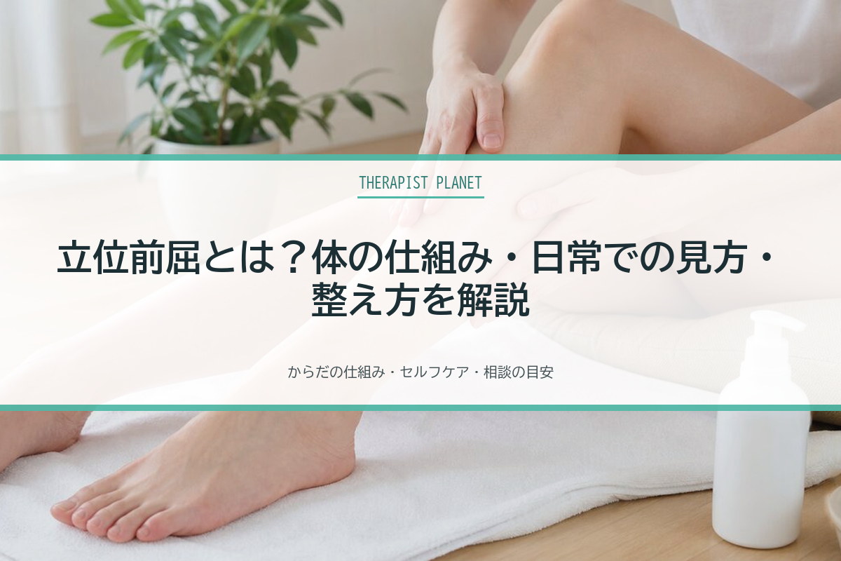 立位前屈とは？体の仕組み・日常での見方・整え方を解説