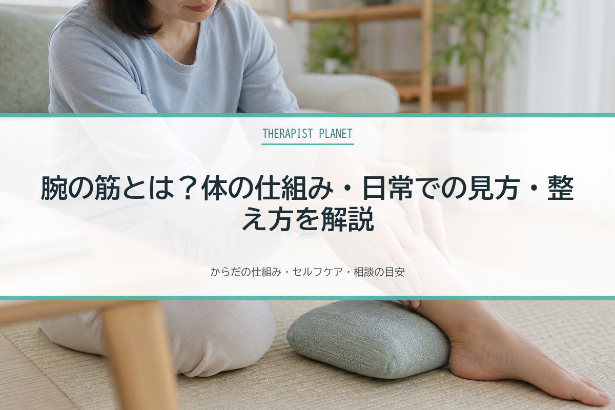 腕の筋とは？体の仕組み・日常での見方・整え方を解説