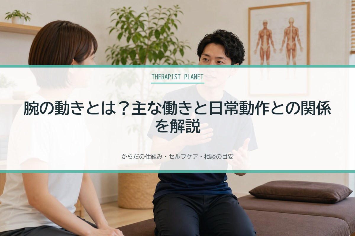 腕の動きとは？主な働きと日常動作との関係を解説