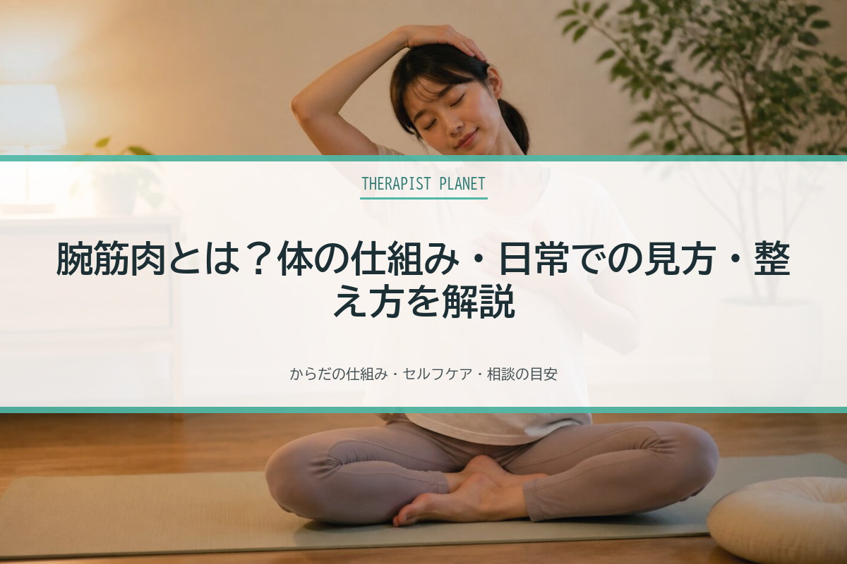 腕筋肉とは？体の仕組み・日常での見方・整え方を解説